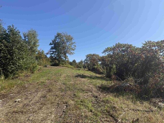 Land for sale in Wolcott, Lamoille County