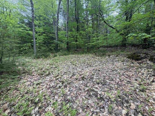 Land for sale in New Hampshire