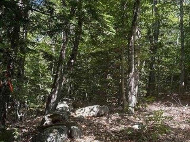 Land for sale in Wolfeboro, Carroll County