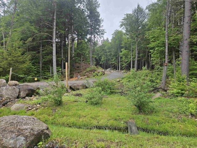 Land for sale in New Hampshire