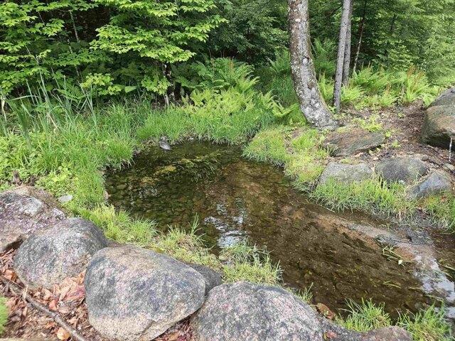 Land for sale in New Hampshire