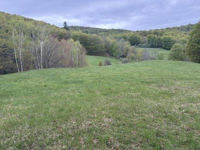 Land for sale in South Woodstock, Vermont