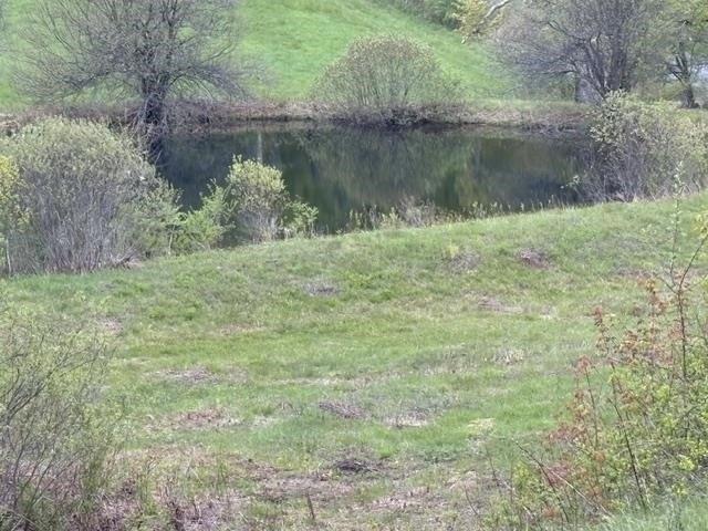 Land for sale in South Woodstock, Vermont