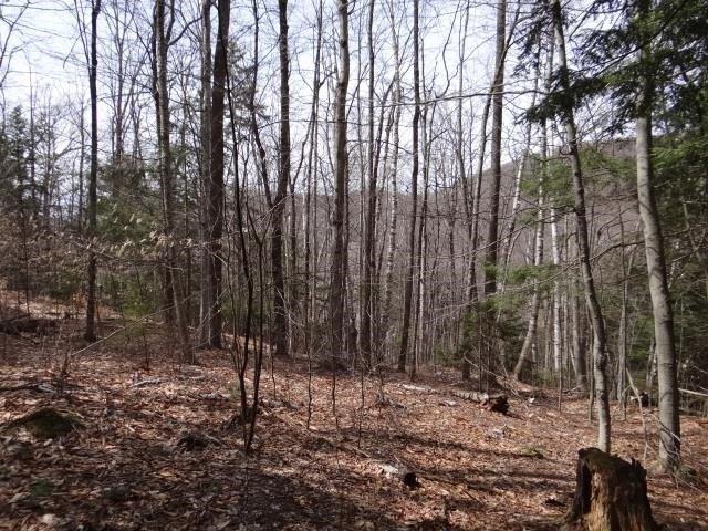 Land for sale in South Woodstock, Vermont