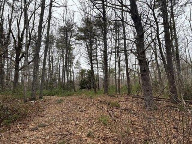 Land for sale in Woolwich, Maine