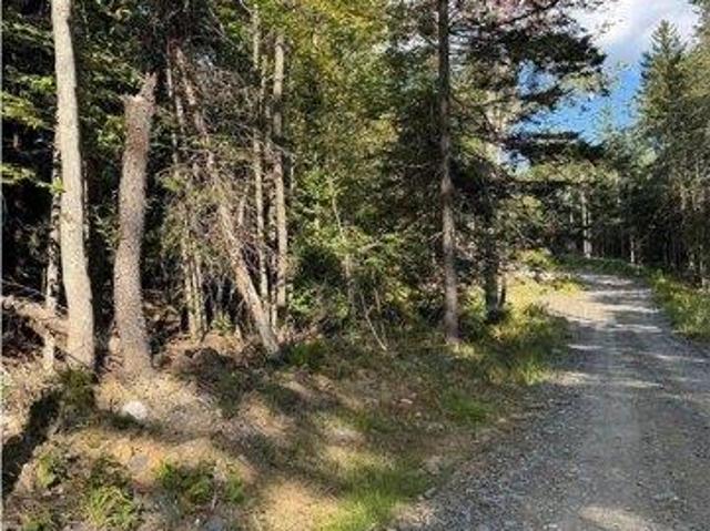 Land for sale in Worcester, Vermont