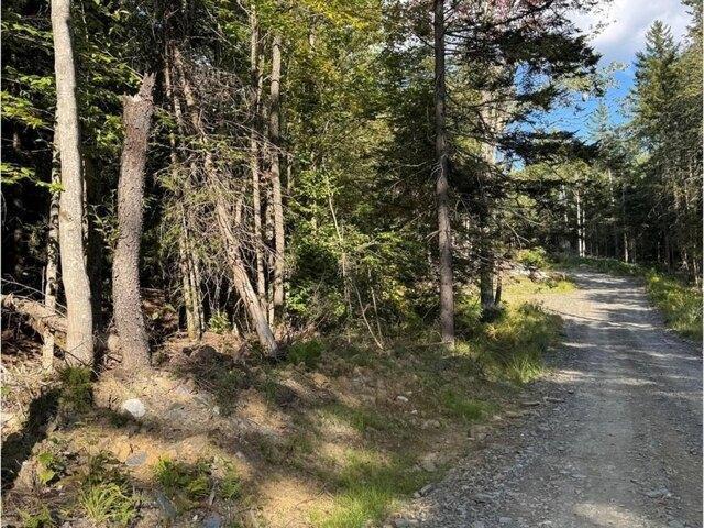 Land for sale in Worcester, Vermont