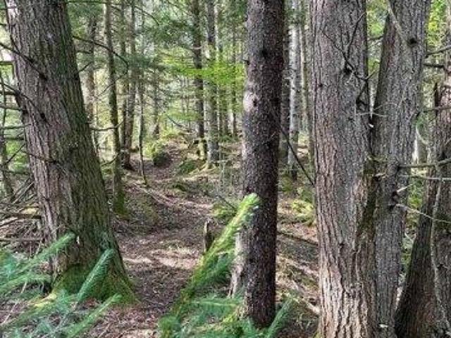 Land for sale in Worcester, Washington County