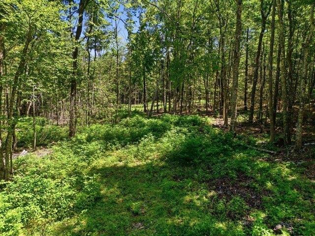Land for sale in Massachusetts