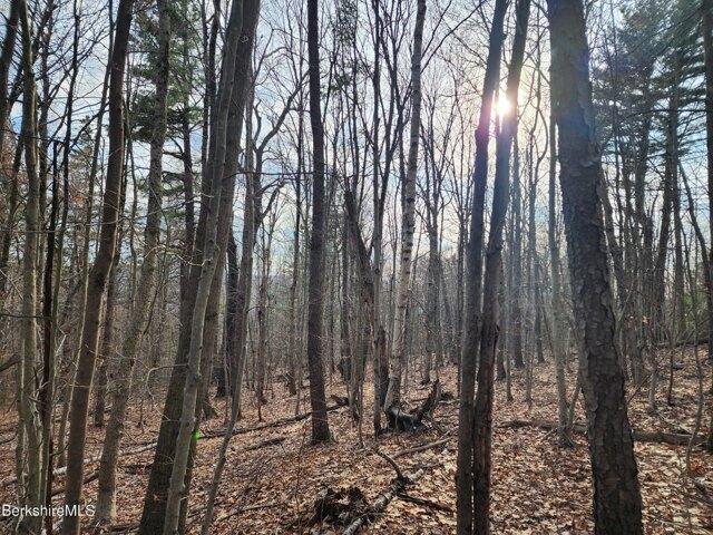 Land for sale in Massachusetts