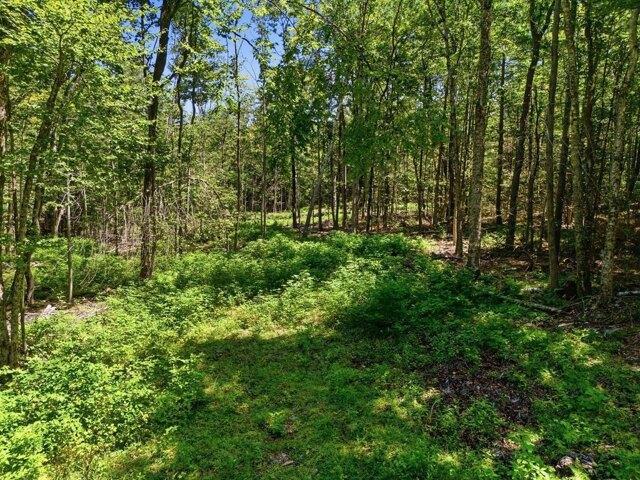 Land for sale in Worthington, Hampshire County