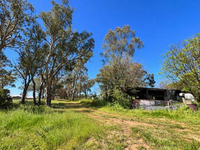 Land for sale in Yeoval, Cabonne Council