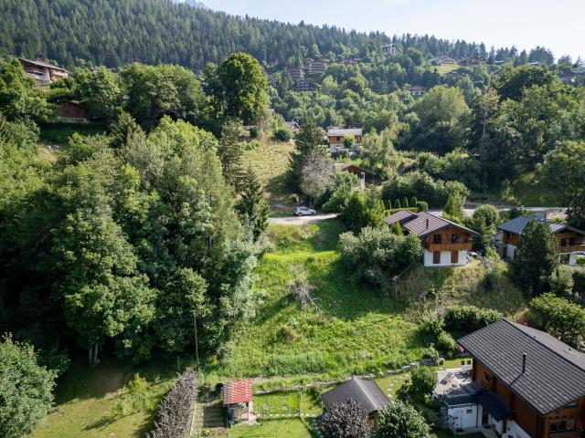 Immobilie kaufen in Dugny, Leytron, Wallis