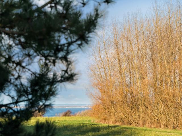 Landejendom til salg i Bremdal, Århus