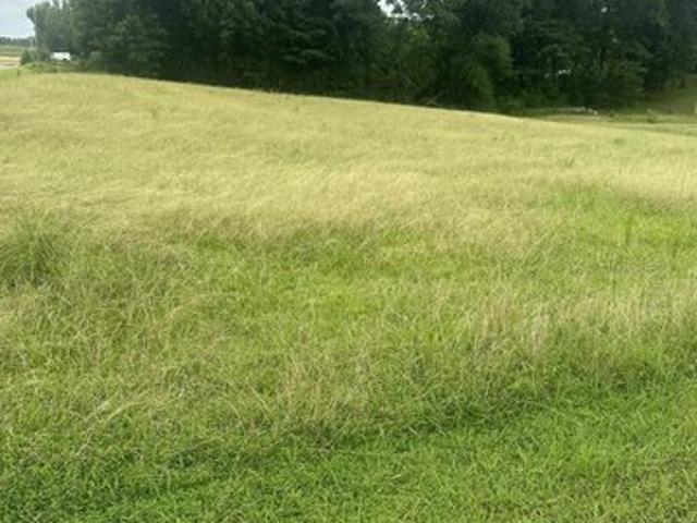 Land for sale in Byhalia, Mississippi