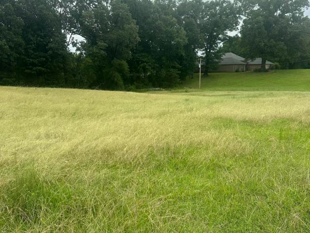 Land for sale in Byhalia, Mississippi