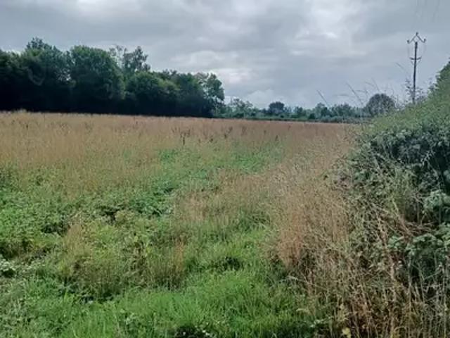Terrain vente à Bernay, Landepéreuse