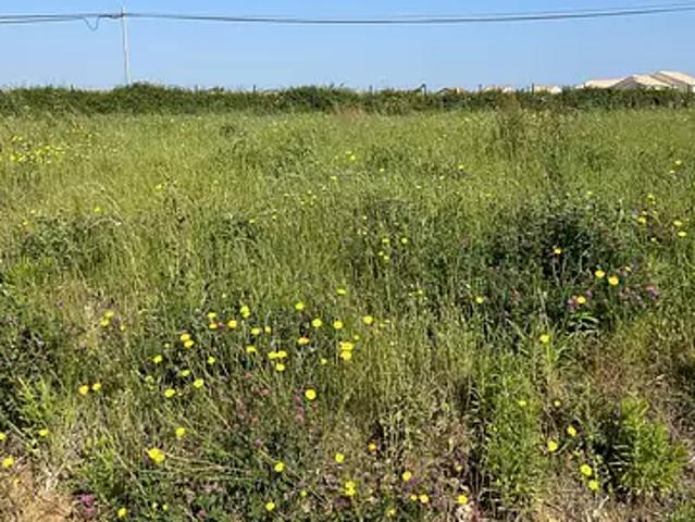 Terrain vente à France métropolitaine, Landeronde