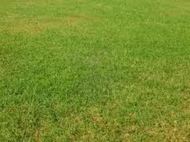 Terrain vente à France métropolitaine, Landeronde