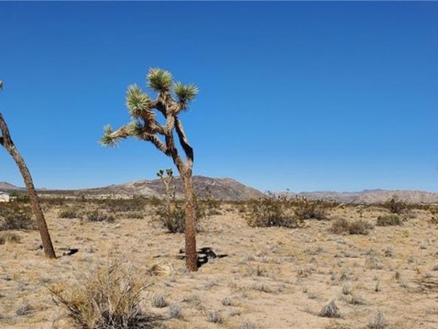 Land for sale in Landers, California