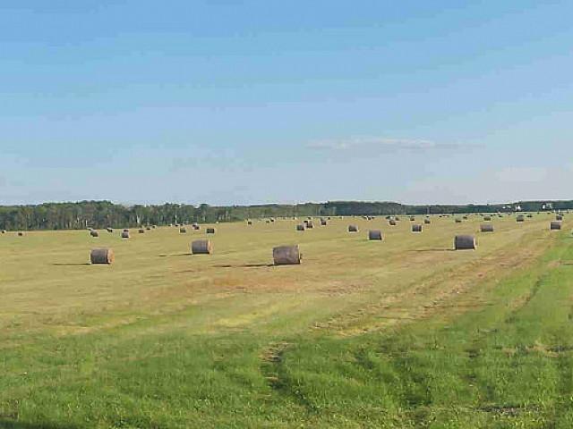Land for sale in Manitoba