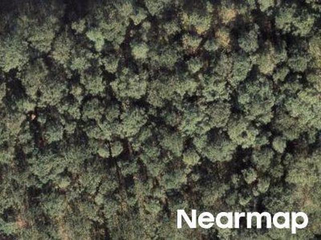 Land for sale in Wilson, North Carolina