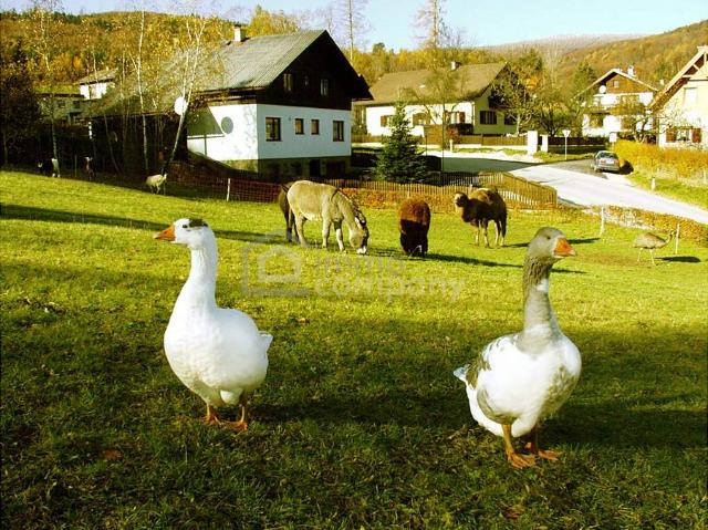 Gewerbe mieten in Baden, Niederösterreich