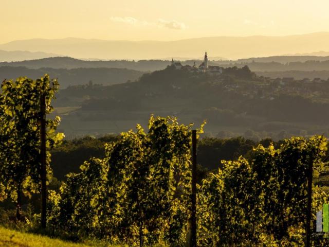 Gewerbe kaufen in Riegersburg, Steiermark