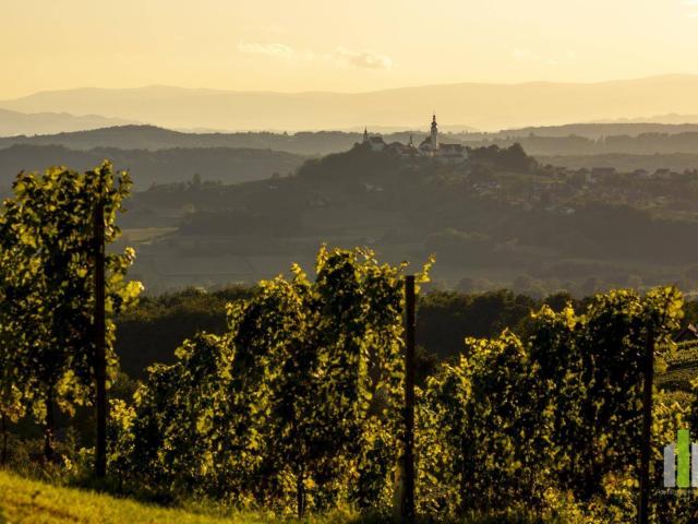 Haus kaufen in Fürstenfeld, Steiermark