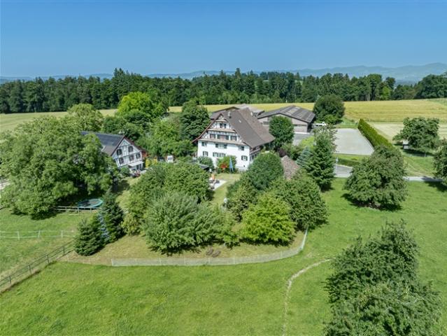 Einfamilienhaus kaufen in Oetwil am See, Zürich