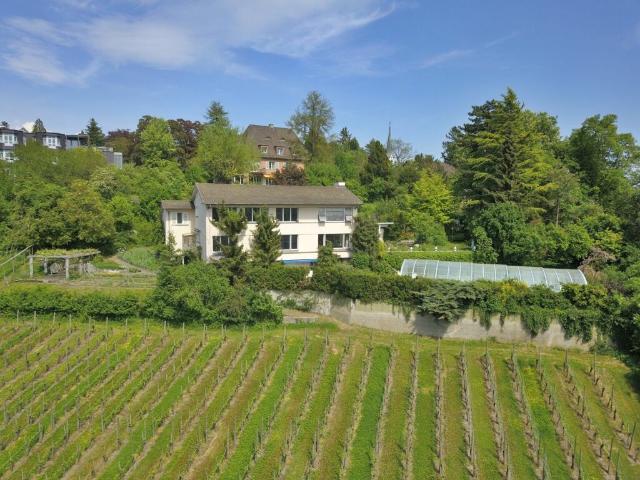 Einfamilienhaus kaufen in Schaffhausen