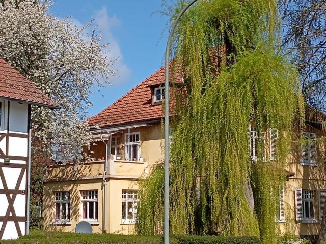Haus kaufen in Bad Arolsen, Hessen