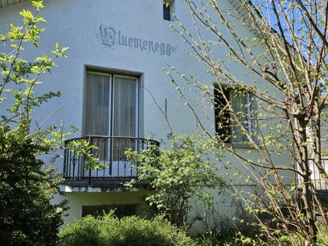 Einfamilienhaus kaufen in Berg (TG), Thurgau