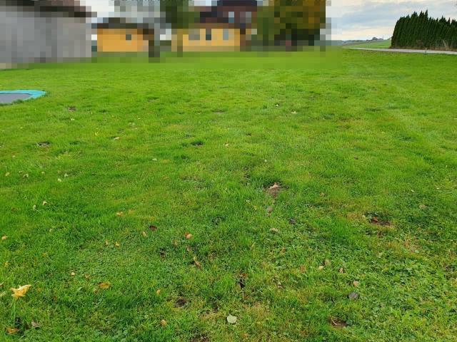 Immobilie kaufen in Revier Eggelsberg, Eggelsberg