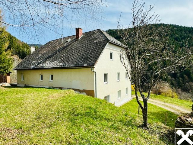 Haus kaufen in Lavamünd, Kärnten