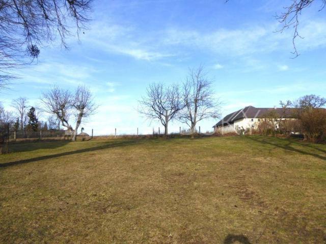 Immobilie kaufen in Wels, Oberösterreich