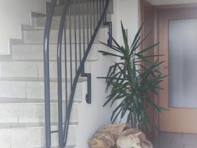 Apartment mieten in Ahaus, Nordrhein-Westfalen