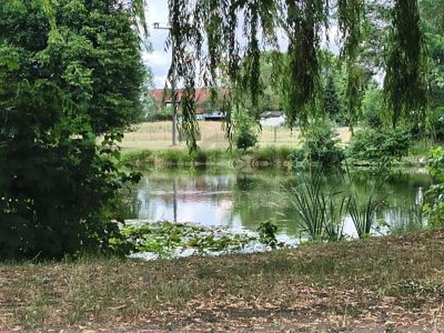Erdgeschosswohnung mieten in Sachsen