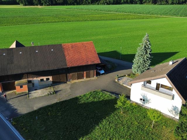 Landwirtschaft kaufen in Siegershausen, Thurgau