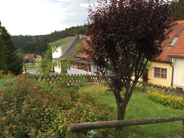 Haus mieten in Wies, Steiermark
