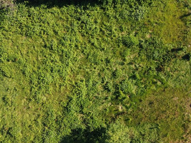 Ejendom til salg i Brønderslev-Dronninglund