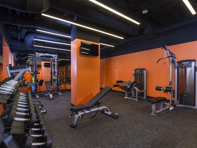 Apartment for rent in Maryland