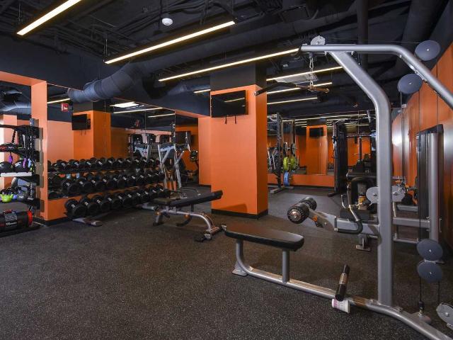 Apartment for rent in Maryland