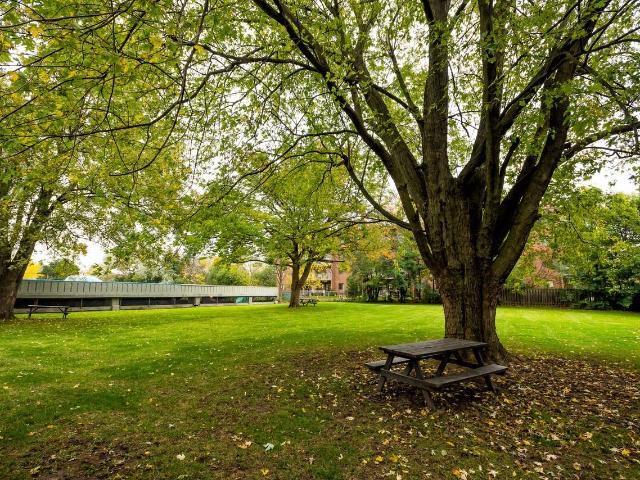 Apartment for rent in Arva, Ontario