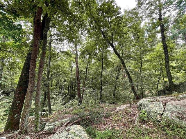 Land for sale in Landrum, South Carolina