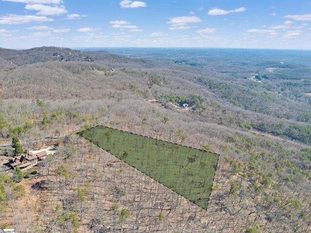 Land for sale in Landrum, South Carolina