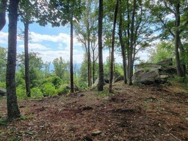 Land for sale in Landrum, South Carolina