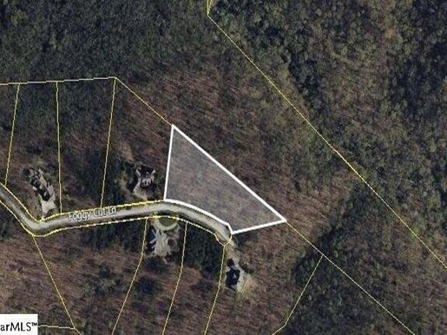 Land for sale in Landrum, South Carolina