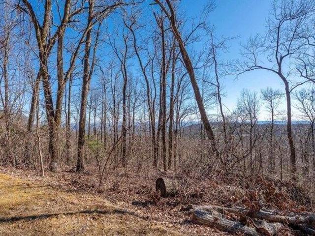 Land for sale in Landrum, South Carolina