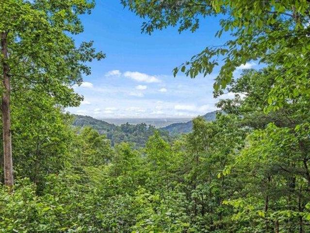 Land for sale in Landrum, South Carolina